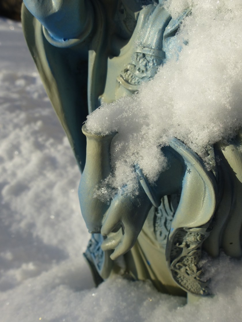 Perspectives with Panache, 2020