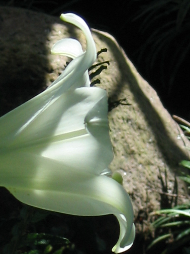 Perspectives with Panache, 2005